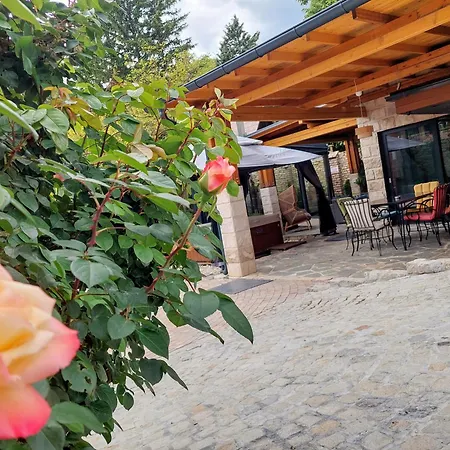 Mp Banstol 4*- Brdez Do, Fruska Gora * Indija
