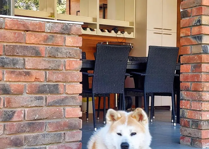 Vila Mp Banstol 4*- Brdez Do, Fruska Gora