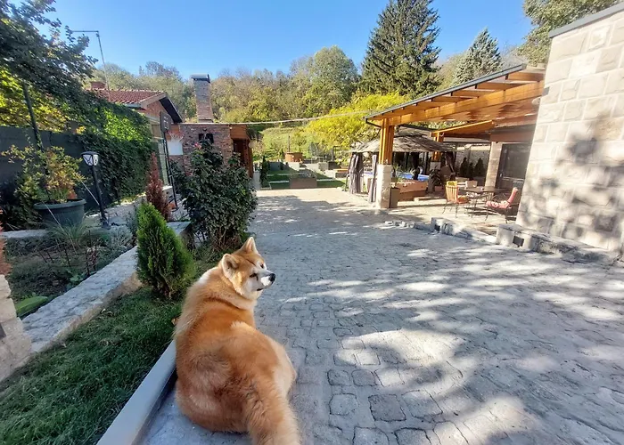 Mp Banstol 4*- Brdez Do, Fruska Gora Vila *